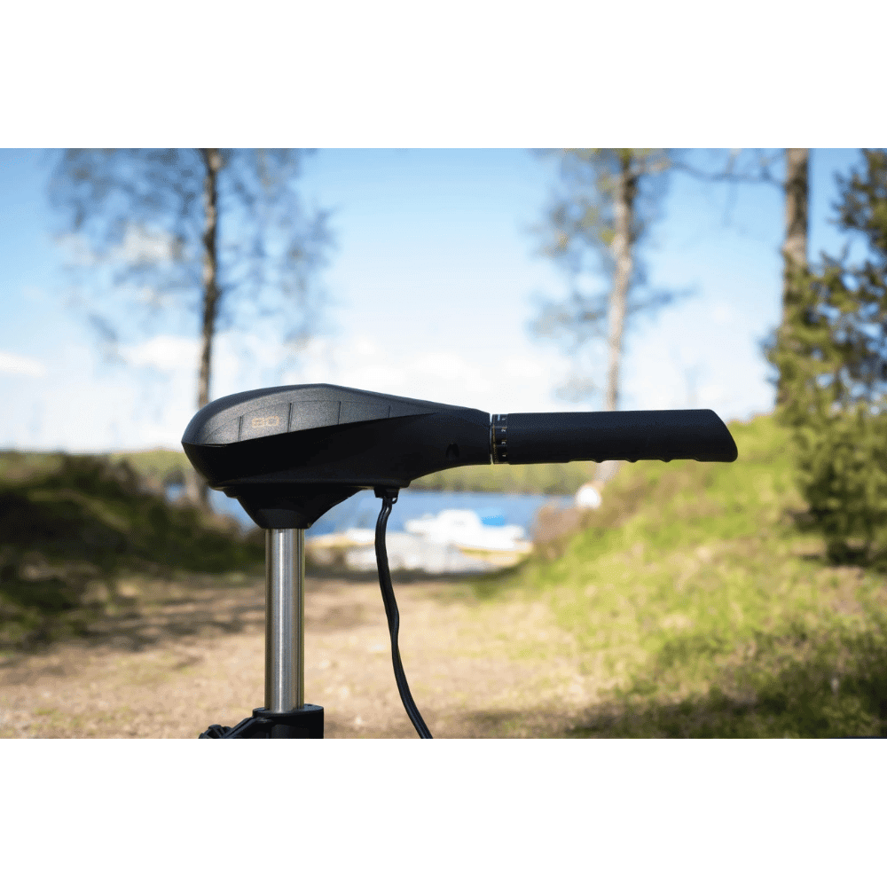 Elektrisches Gerät, Mikrophon