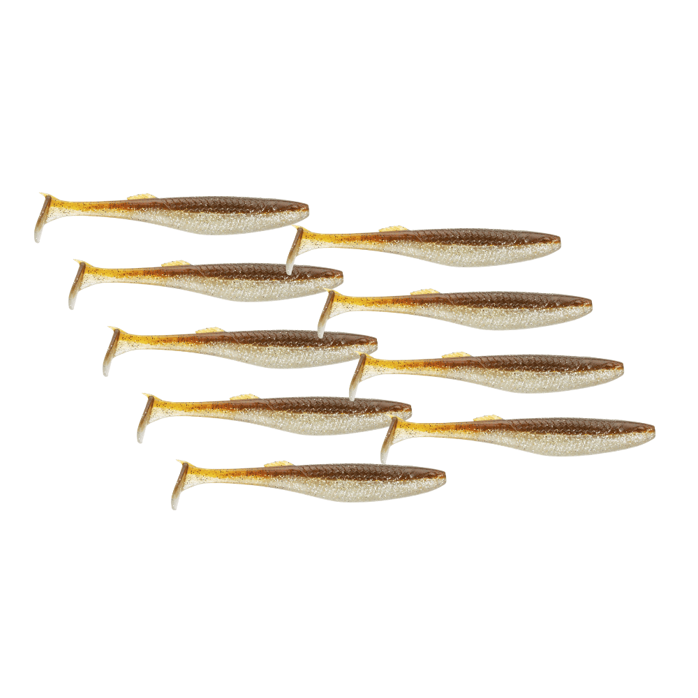 Tier, Fische, Hering, Leben im Meer, Sardine