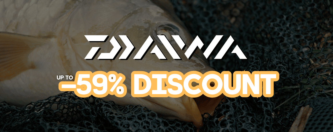 Tier, Karpfen, Fische, Leben im Meer