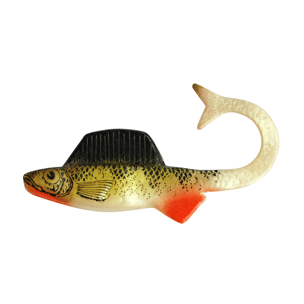 Tier, Fische, Leben im Meer, Hai