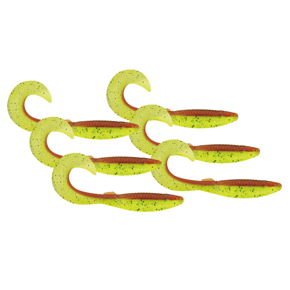 Tier, Fische, Leben im Meer