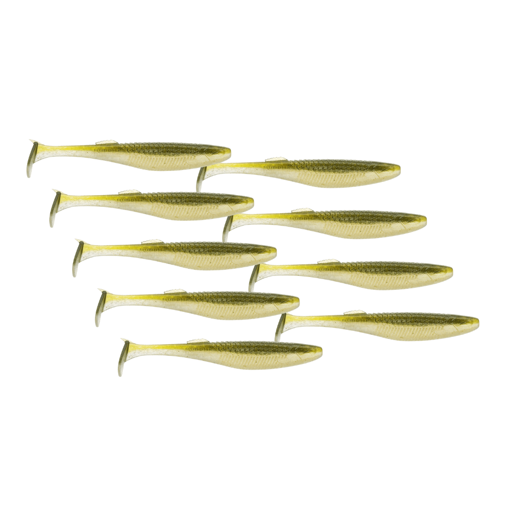 Tier, Fische, Hering, Leben im Meer, Sardine