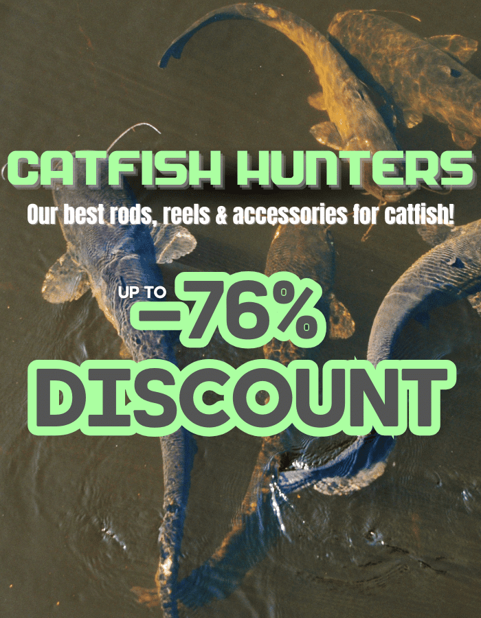 Catfish in the water – up to 76% off on catfish fishing gear.