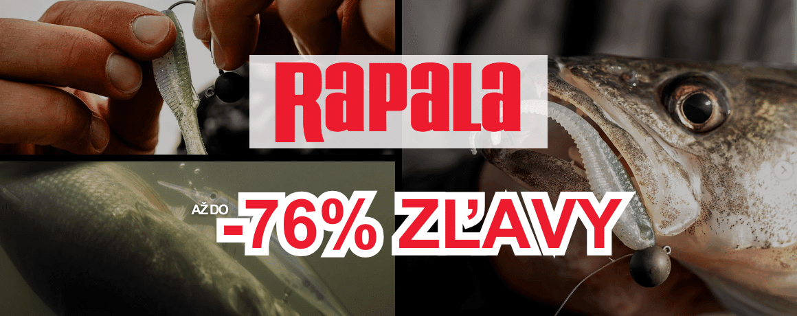 Tier, Fische, Leben im Meer