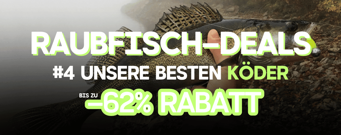 Tier, Leben im Meer, Fische, Barsch