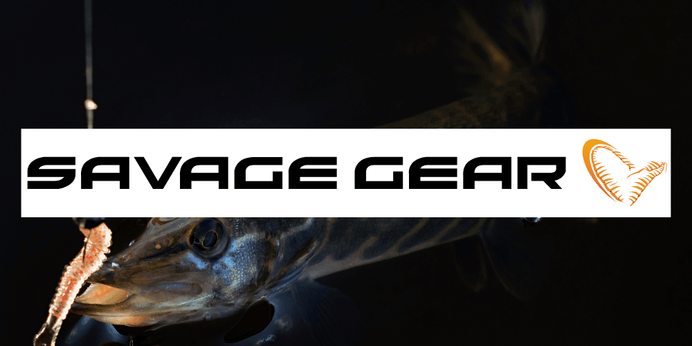 Tier, Leben im Meer, Fische, Hecht