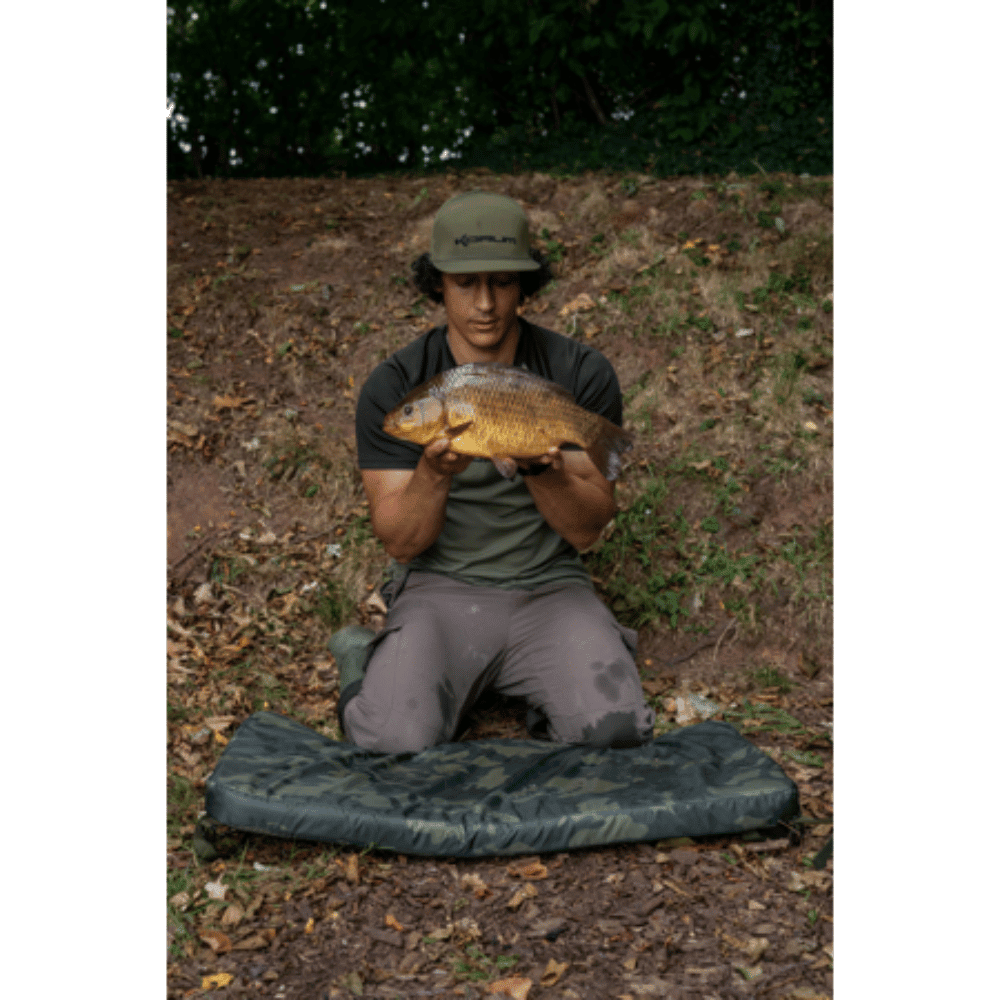 angler, fisch, catch, n/a