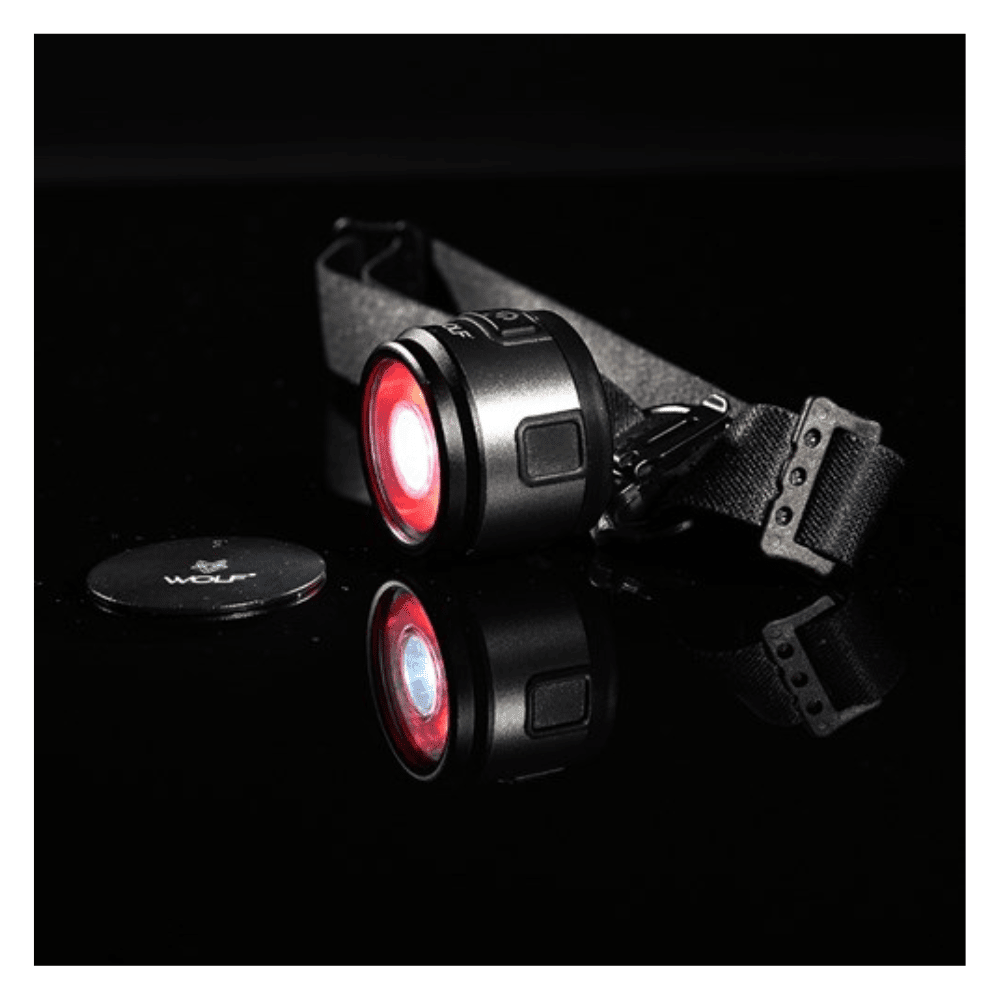 Lampe, Kamera, Elektronik