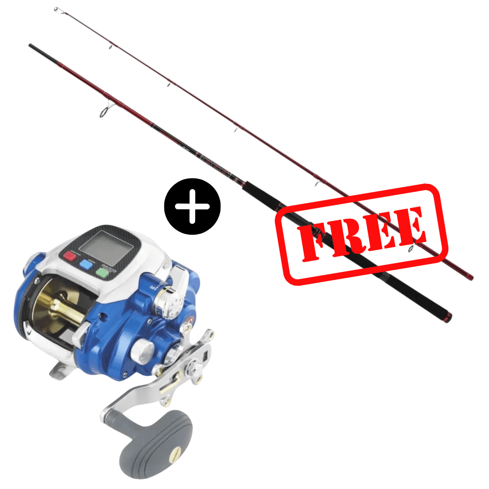 Rolle, Fischen, Freizeitaktivitäten, Draußen, Wasser