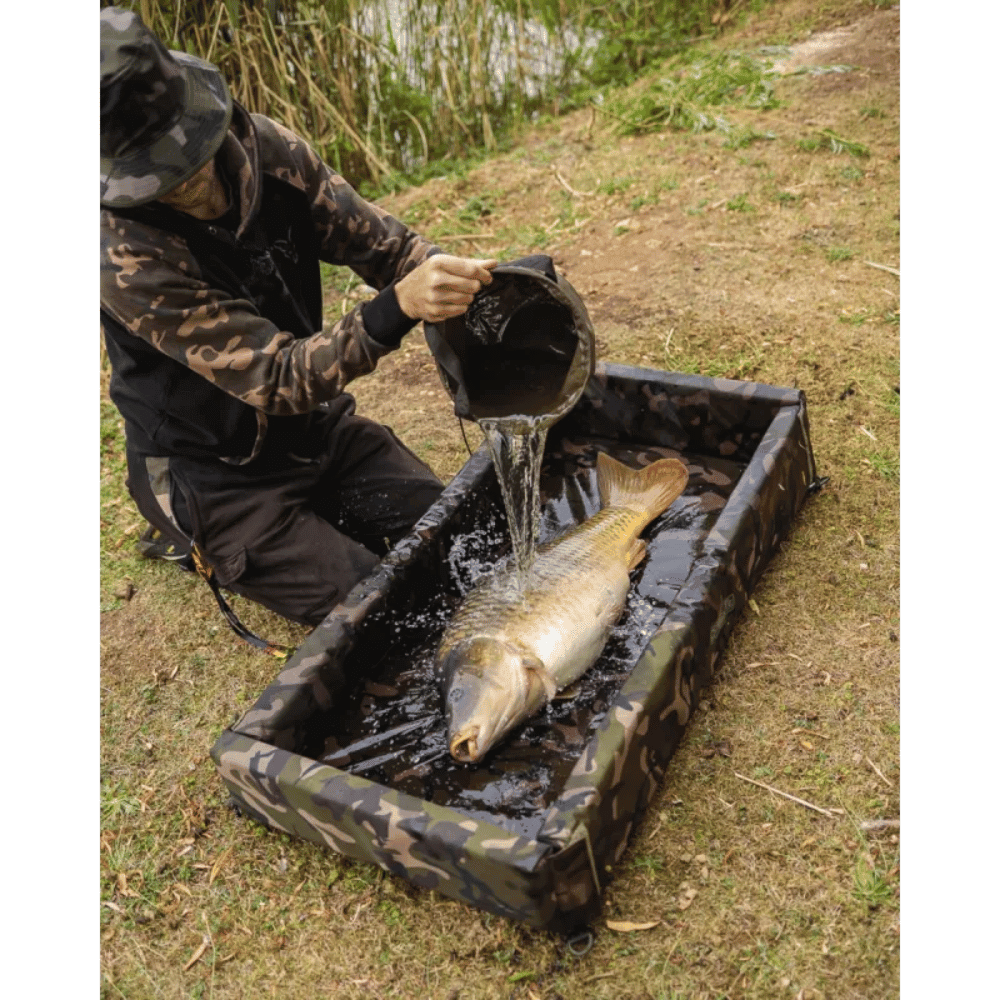 Tier, Fische, Leben im Meer, Person