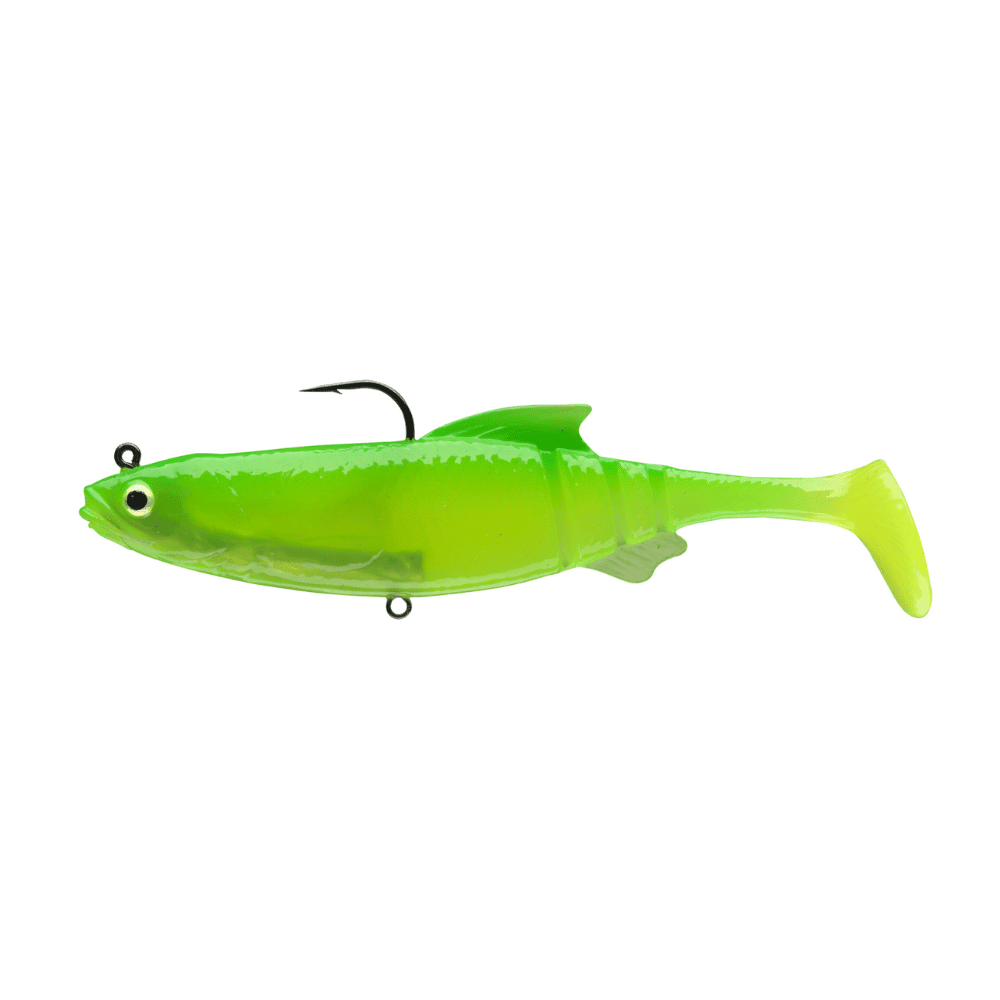 Tier, Fische, Leben im Meer