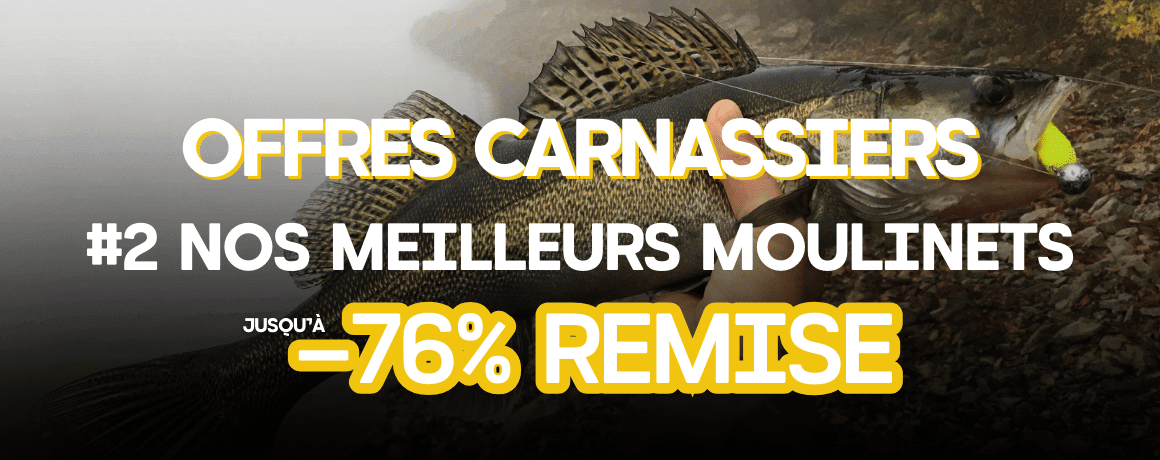 Tier, Leben im Meer, Fische, Barsch