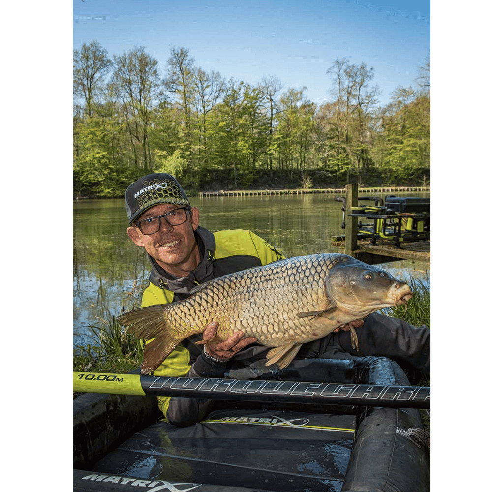 Tier, Fische, Leben im Meer, Karpfen, Gesicht