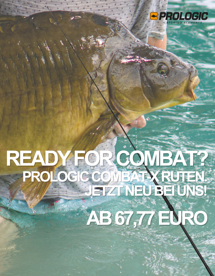 forelle?, Karp, Fisch, Angeln, Schnur