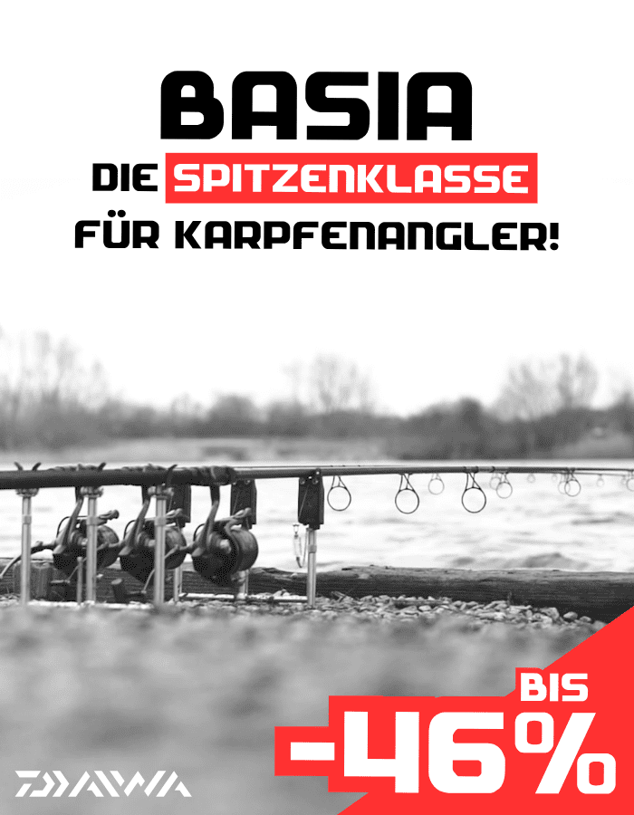 angeln, angelrute, angelssystem, schwarzweiß, aktionsangebot