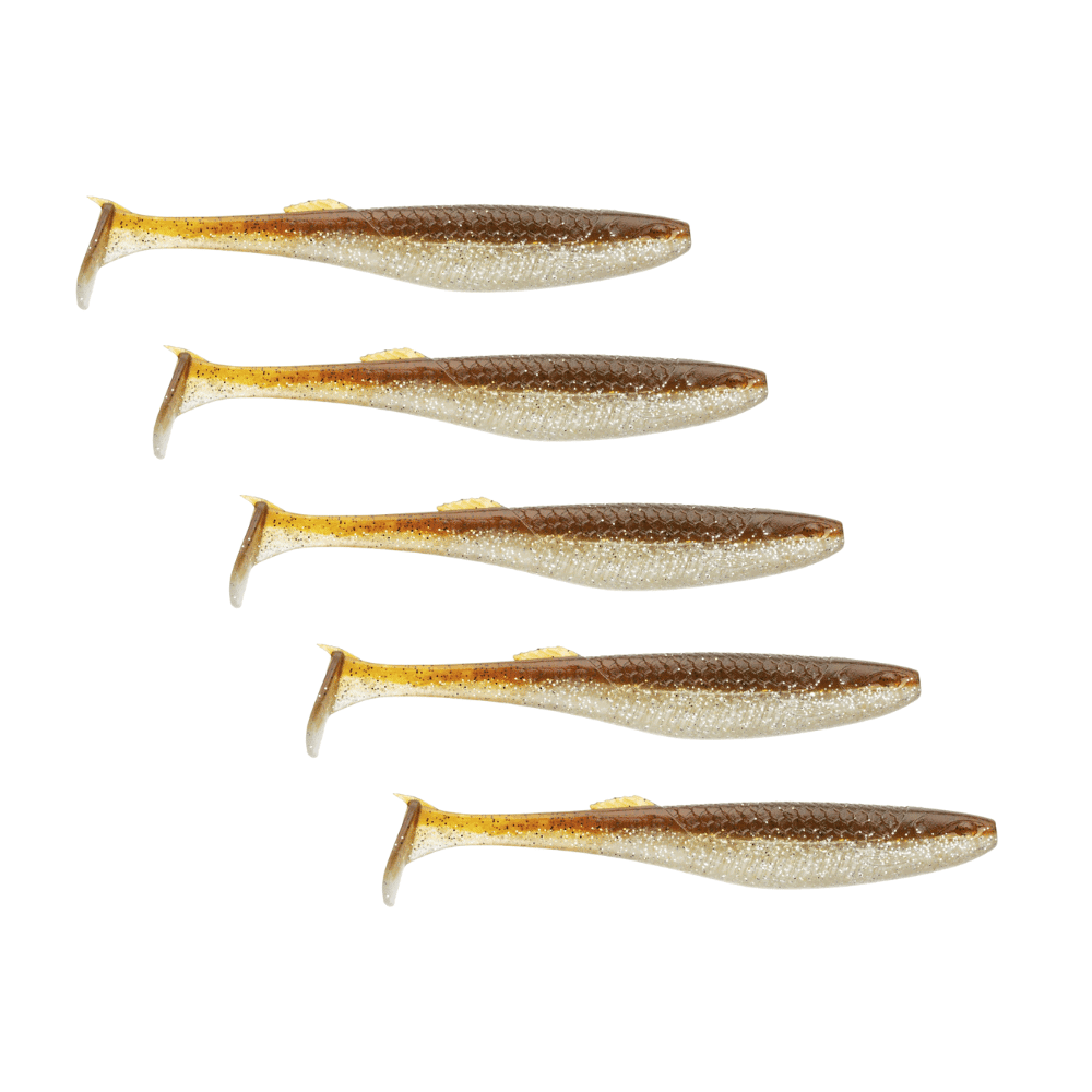 Tier, Fische, Hering, Leben im Meer, Sardine