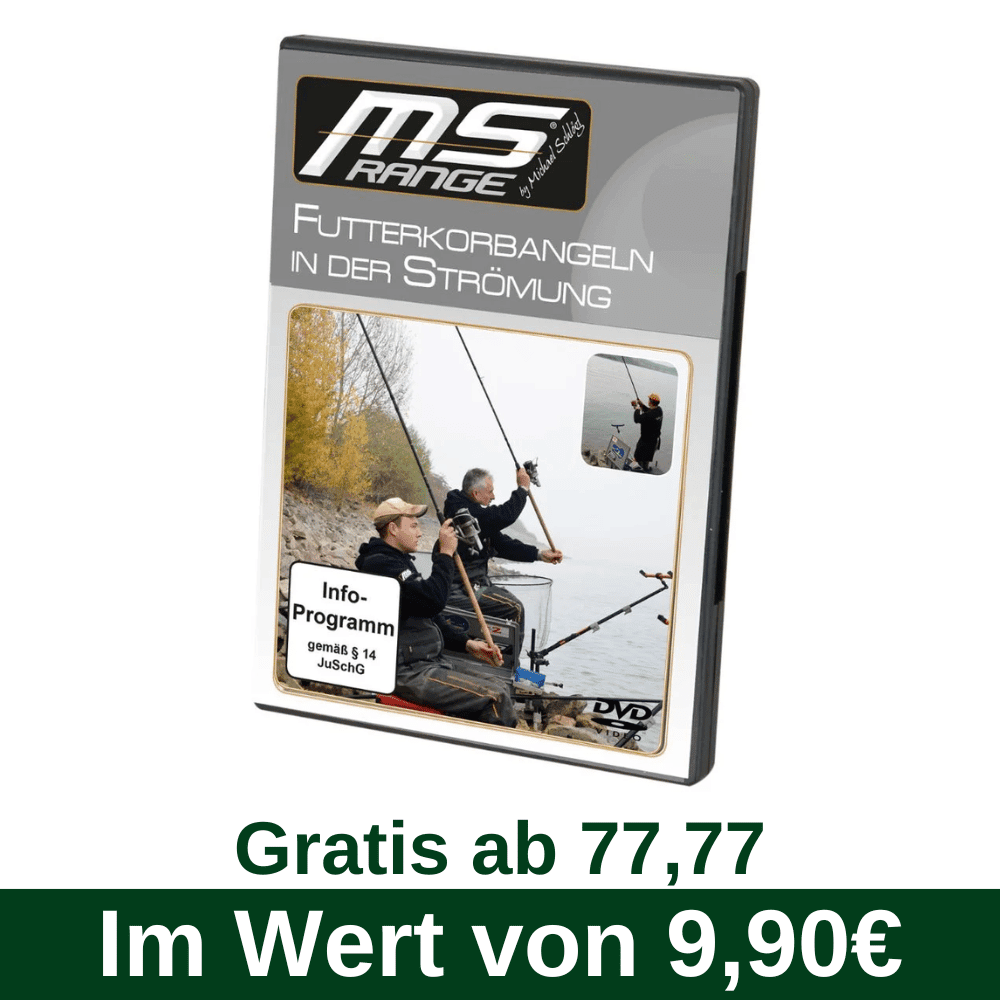 Fischen, Draußen, Wasser, Angler, Person