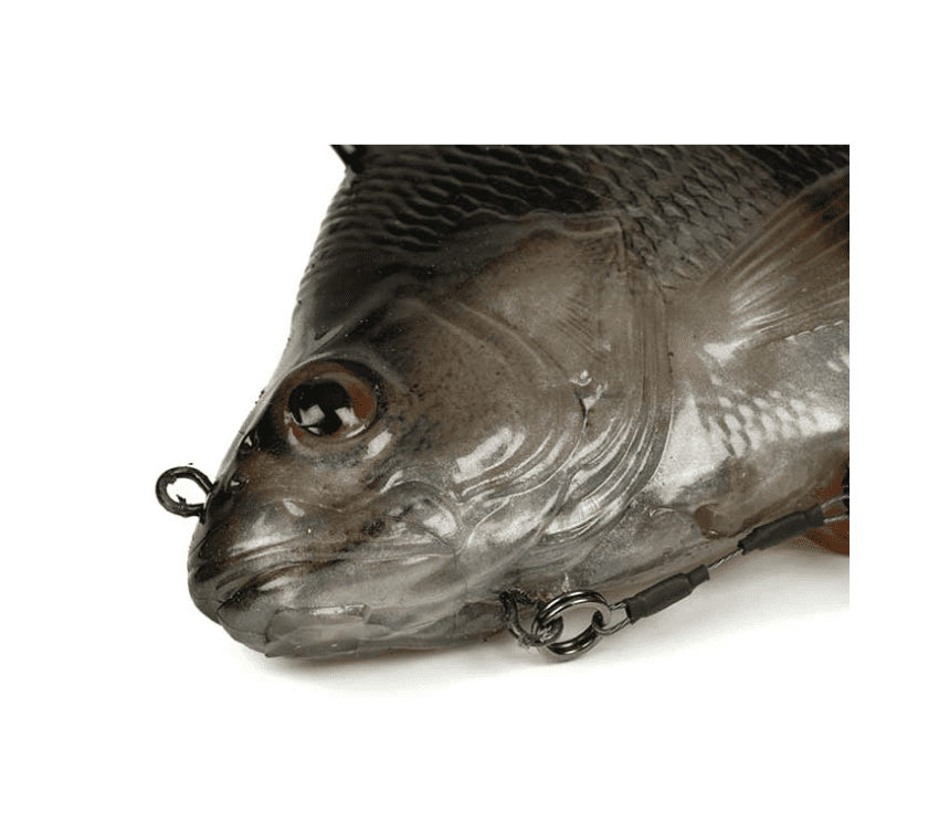 Tier, Fische, Leben im Meer