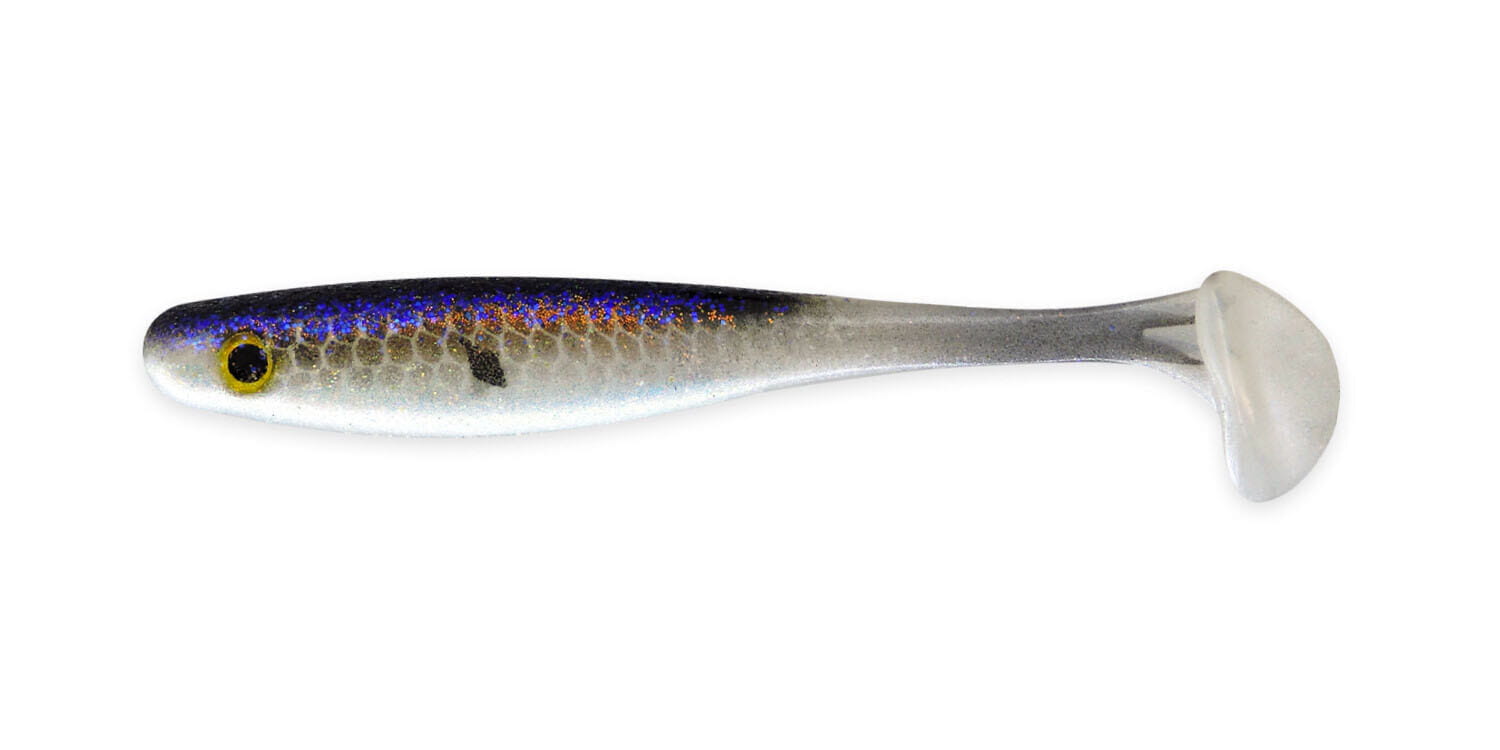 SX Suicide Shad 13 cm (5") Gizzard Shad 4 piezas Besteck, Löffel, Fisch, Hering, Leben im Meer