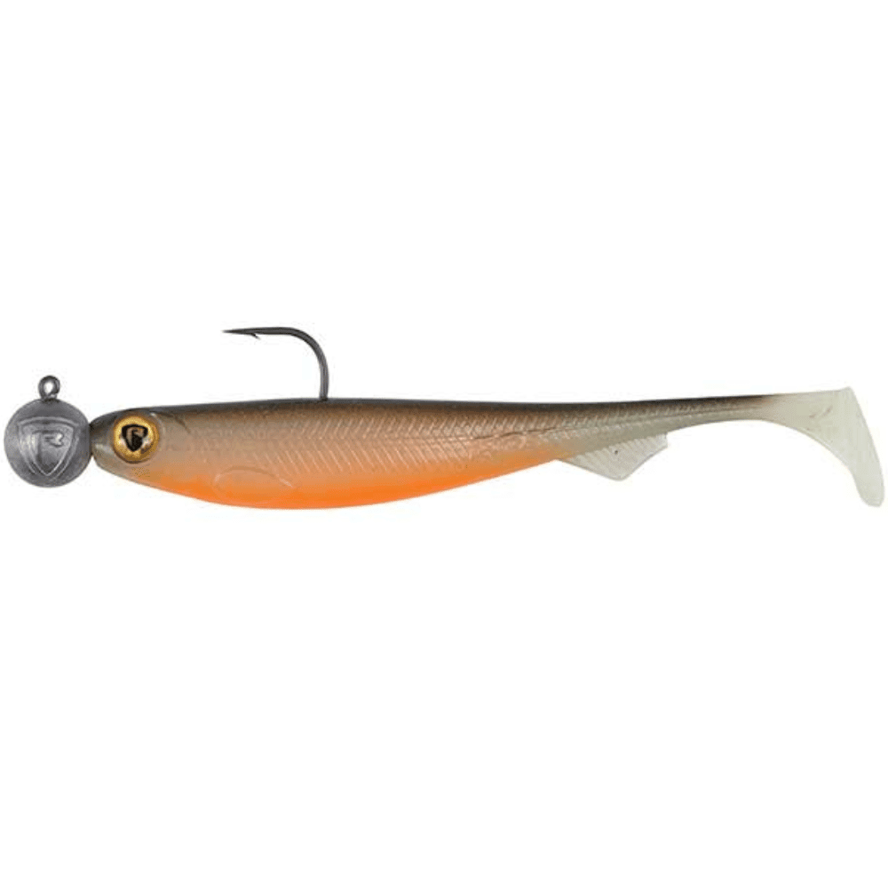 Tier, Fische, Leben im Meer