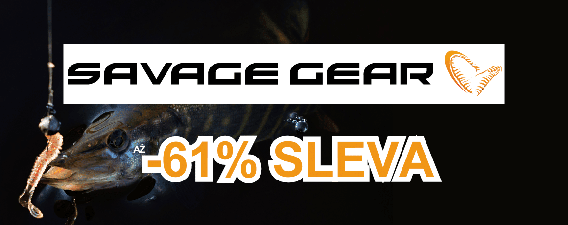 Tier, Leben im Meer, Fische