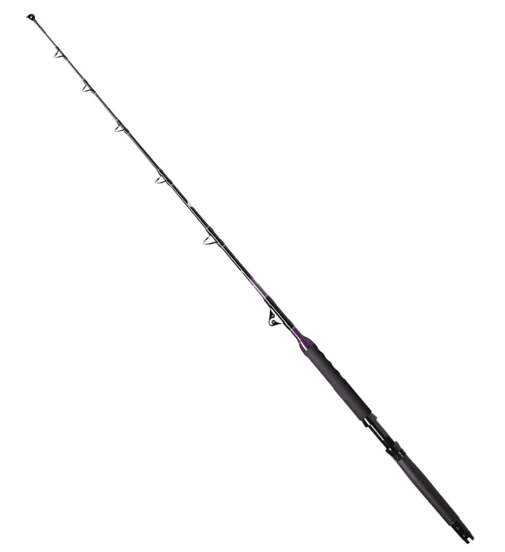 Williamson Reef Donkey 165cm 50-80lbs 1-pezzo Canna da pesca Big Game Fischen, Draußen, Wasser, Angler, Person