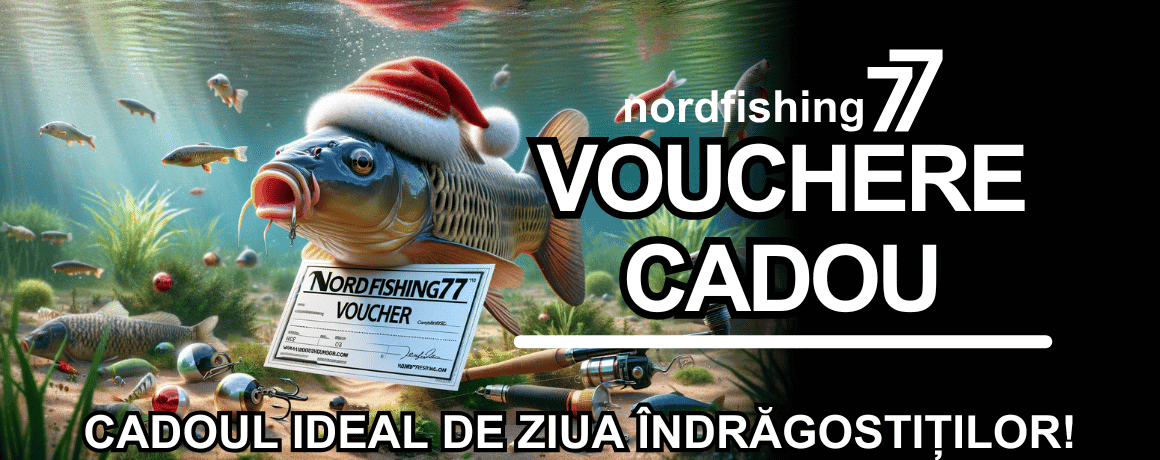 Aquatisch, Wasser, Fische, Leben im Meer, Werbung