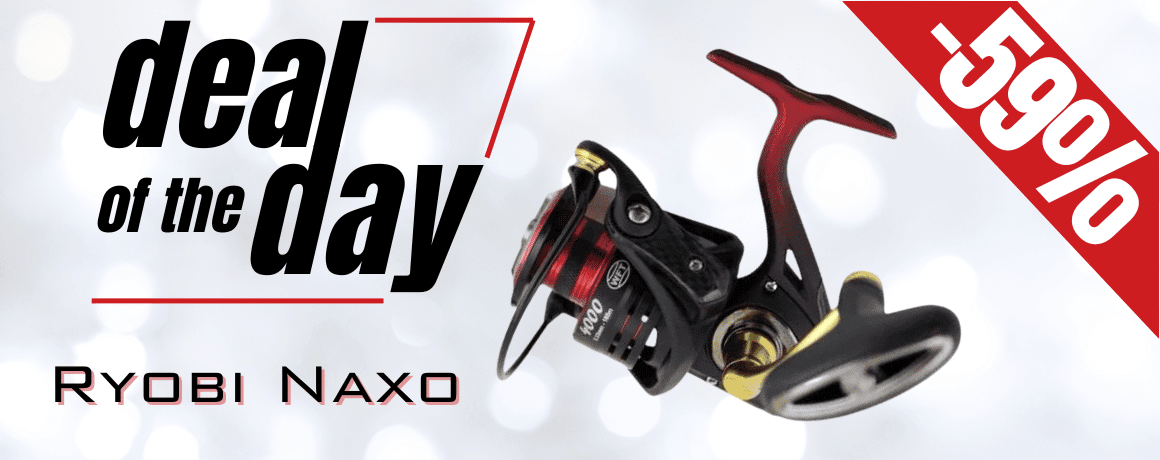 Rolle, Maschine, Sprach