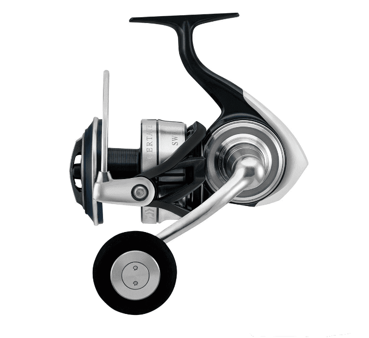 Daiwa CERTATE SW 21 Is this the BEST value Spinning reel on the market? 
