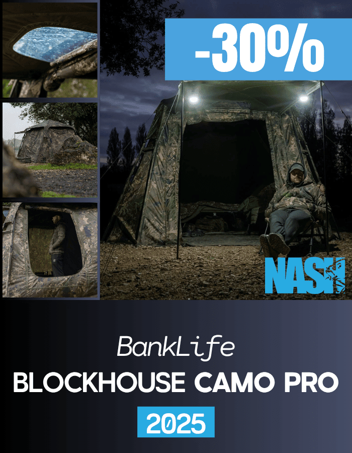 Draußen, Unterschlupf, Zelt, Campen, Person