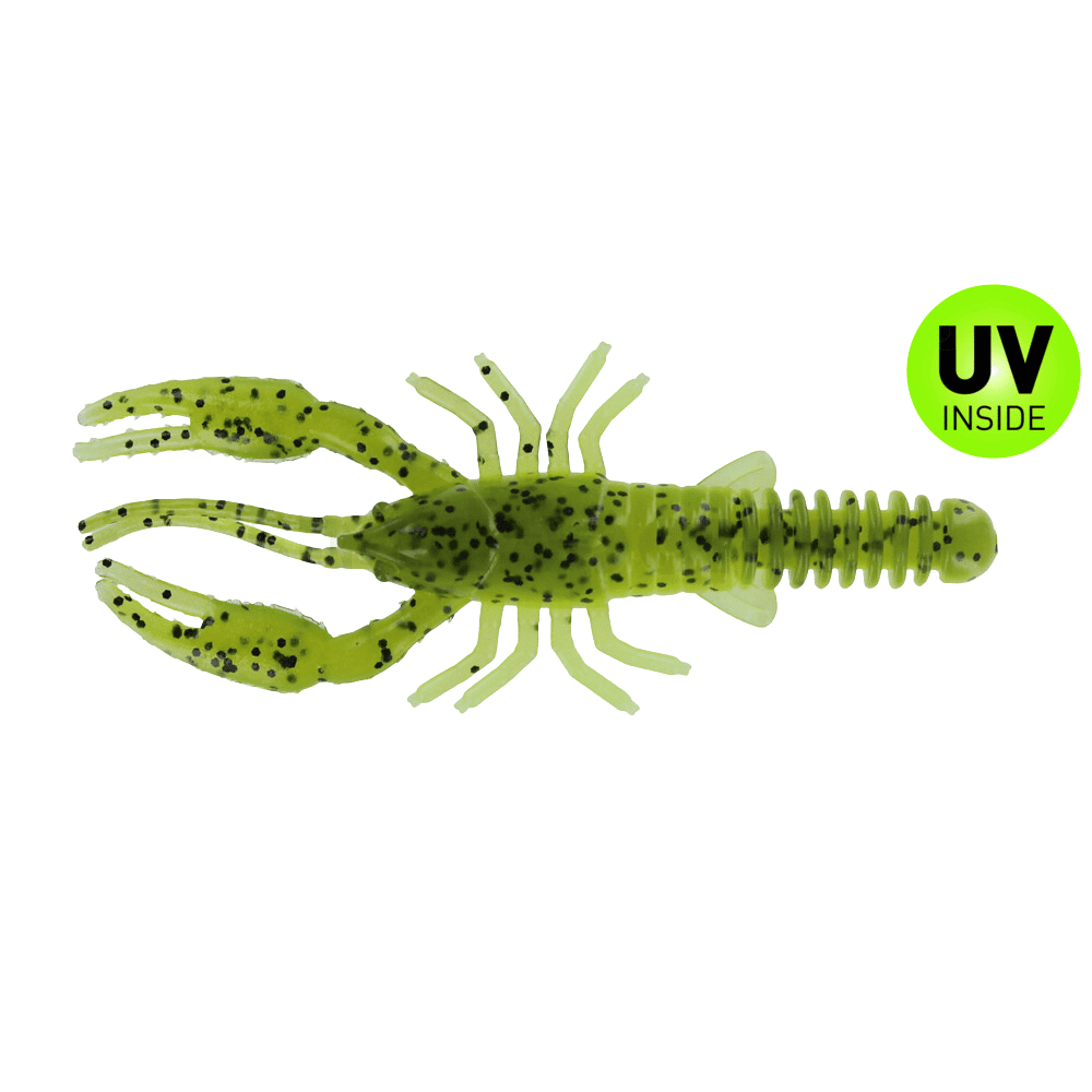 Tier, Insekt, Meeresfrüchte, Crawdad, Leben im Meer