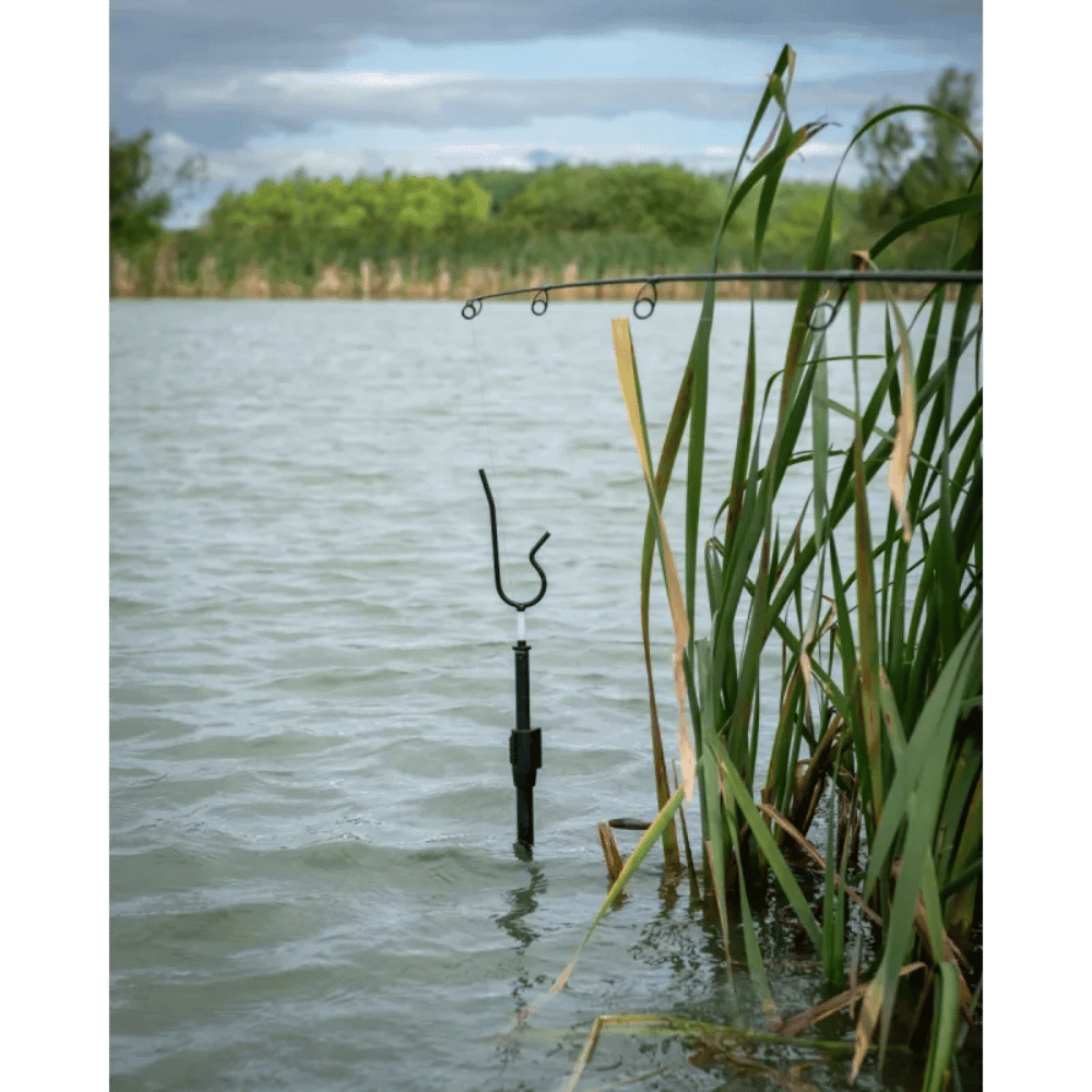 Hardware, Pflanze, Schilf, Wasser, Draußen