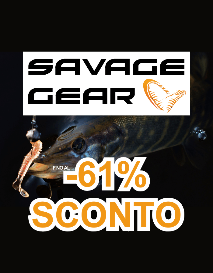 Tier, Leben im Meer, Fische