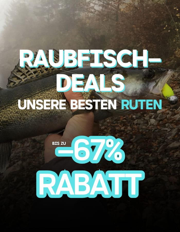 Angeln, Fisch, Rute, Rute mit Köder, Raubfisch-Deal