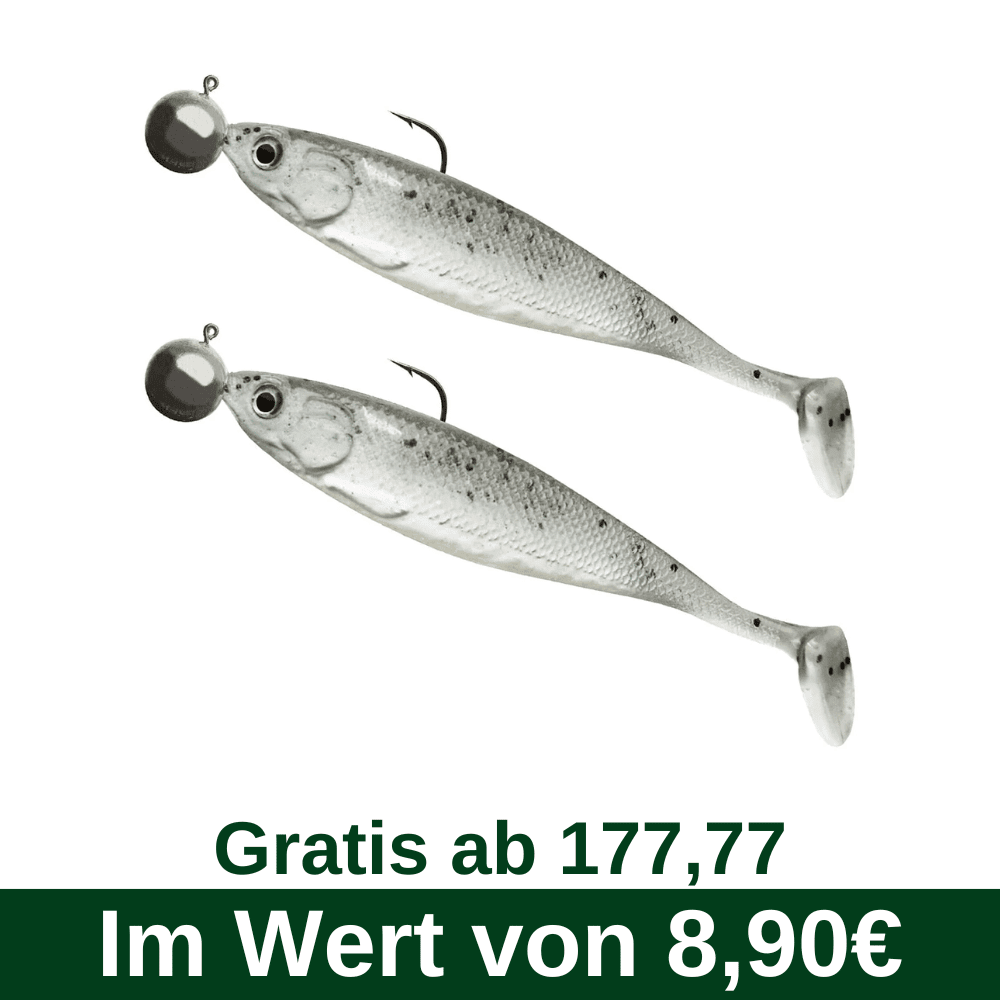 B46 Gratis vanaf 177,77 - Cormoran Actie Fin Shad Klaar om te vissen PW 100 mm (4") 17 g Tier, Fische, Leben im Meer