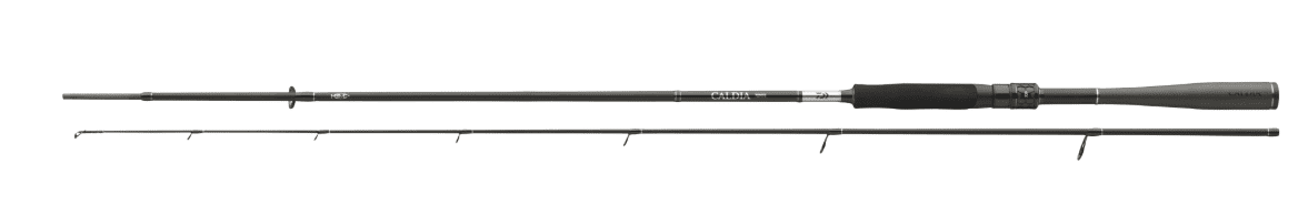 Fischen, Wasser, Gewehr, Angler, Taktstock