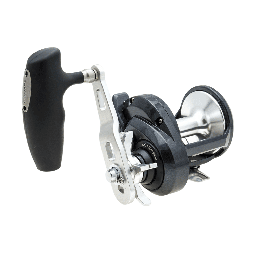 Shimano Torium 30 PG A Rolle