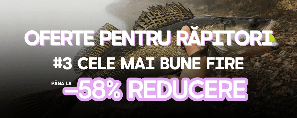 Tier, Leben im Meer, Fische, Barsch