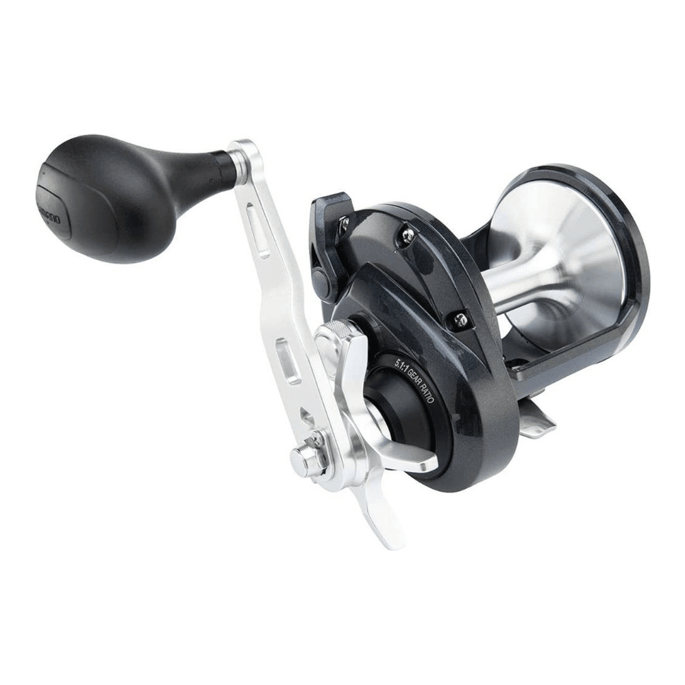 Shimano Torium 40 PG A Rolle