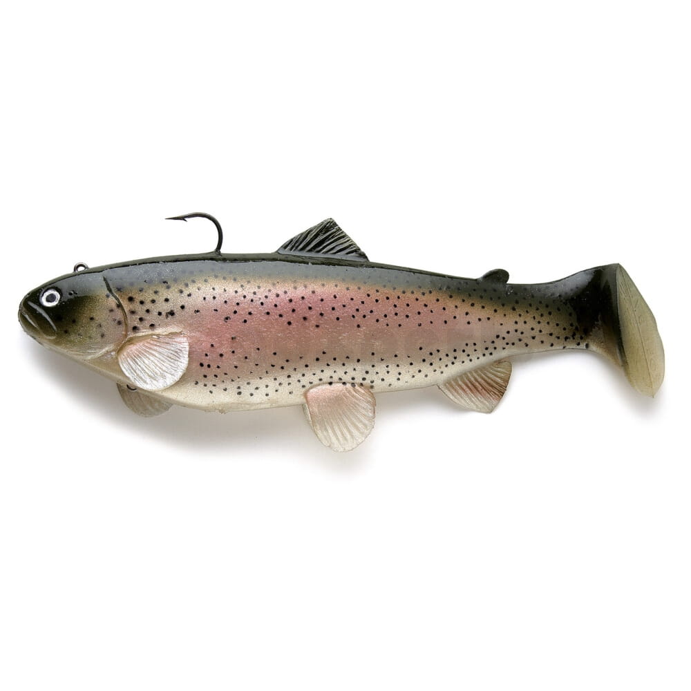 Castaic Swim Bait Trout 20 cm (8") affondante Trota Arcobaleno Tier, Fische, Leben im Meer, Forelle
