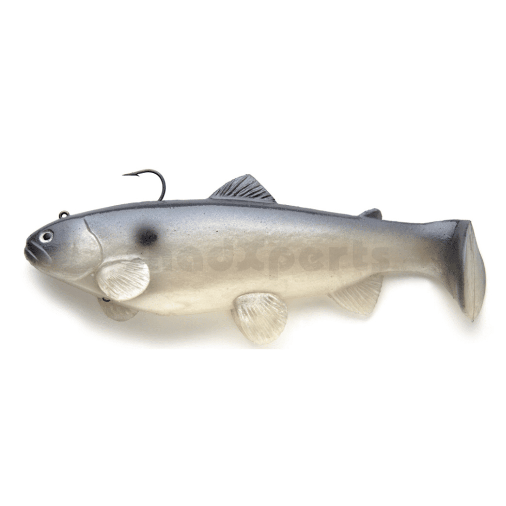 Castaic Swim Bait Trota 15cm affondante Blue Shad Tier, Fische, Leben im Meer