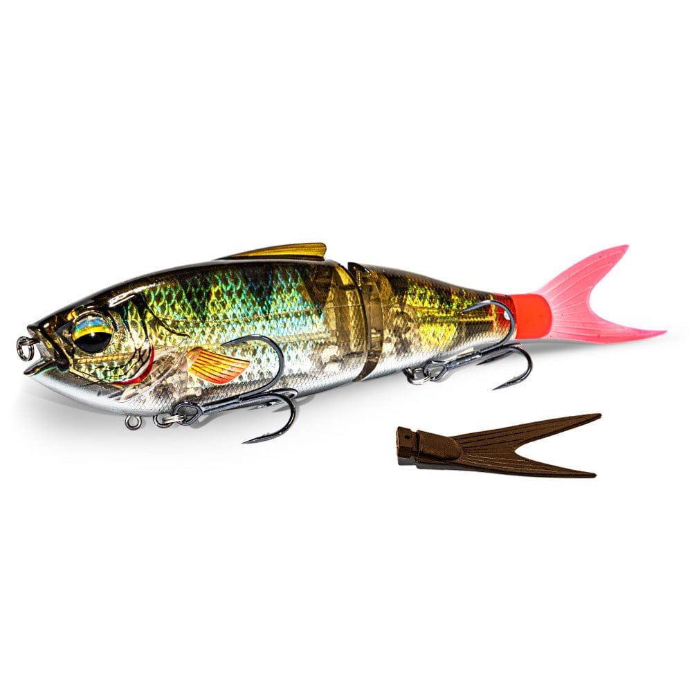 fishing lure, Pike-Lure, Softplastik-Schwanz, Haken-Lure, glänzender Körper