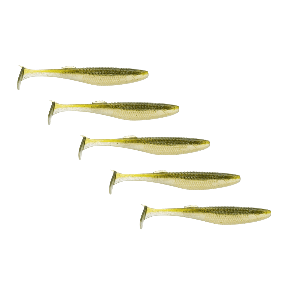 Fische, Hering, Leben im Meer, Sardine, Dolch