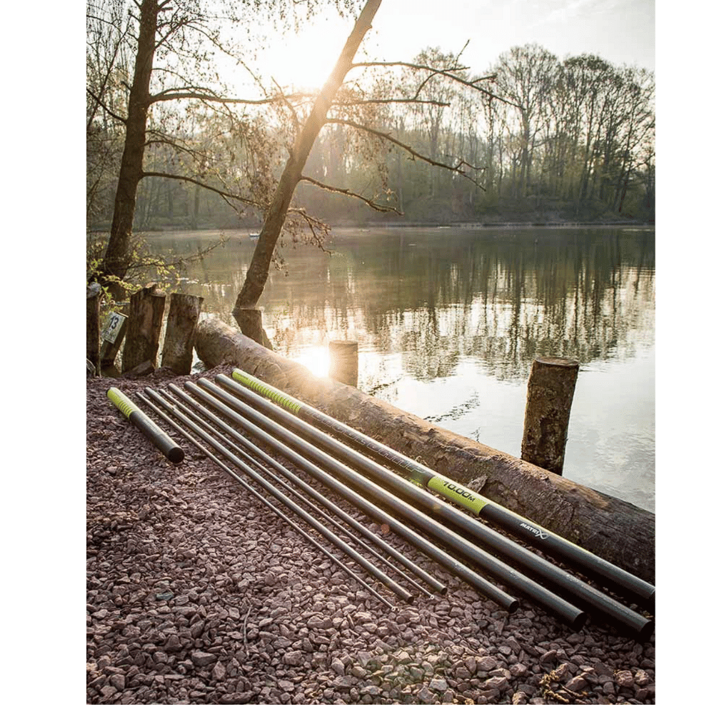Natur, Draußen, Szenerie, Aufflackern, Baum