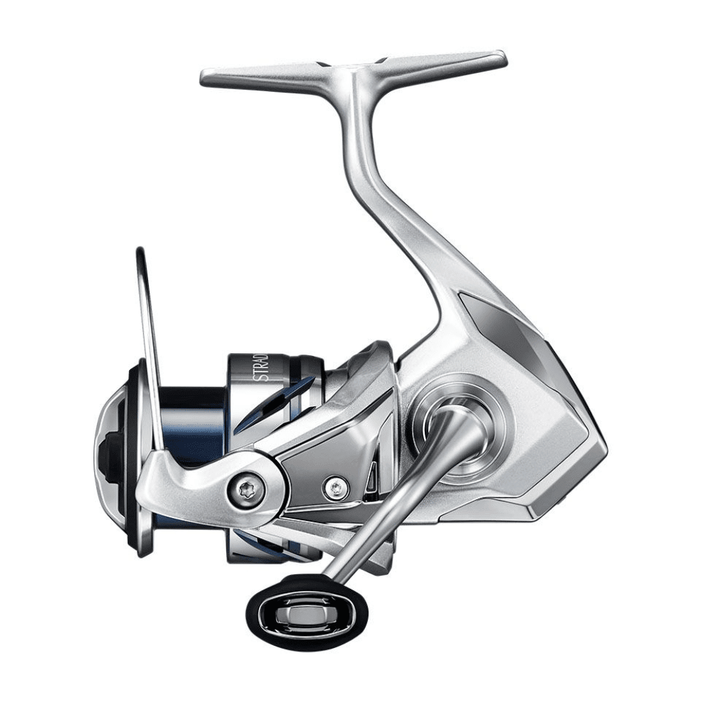Shimano Stradic 1000 HG FM Rolle