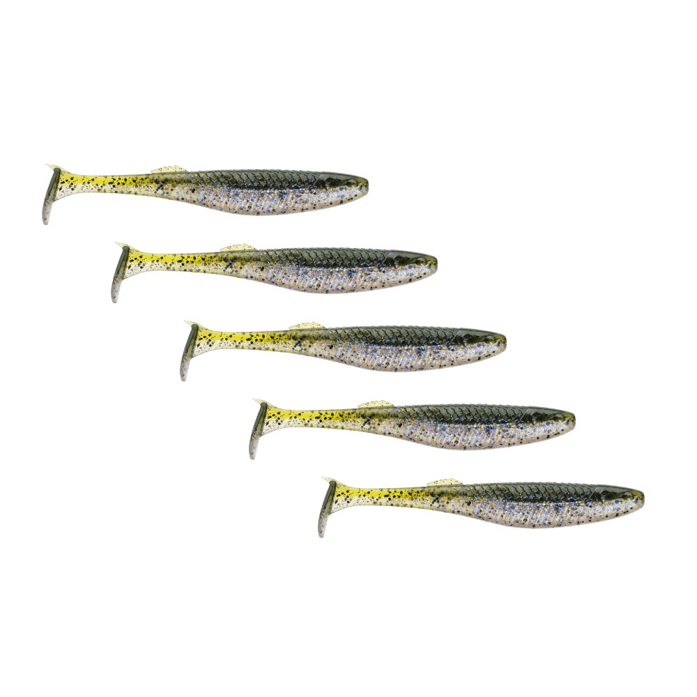 Tier, Fische, Hering, Leben im Meer, Sardine