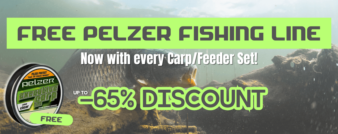 Tier, Karpfen, Fische, Leben im Meer