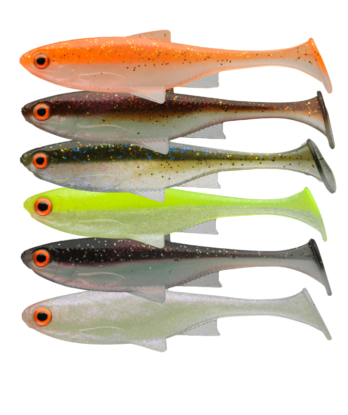 Tier, Fische, Leben im Meer, Hering