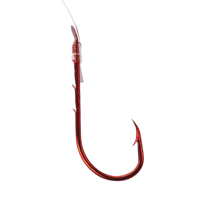 Sänger Forelle Sbirp R-153 – 140cm Größe 6 5,6kg 0,25mm