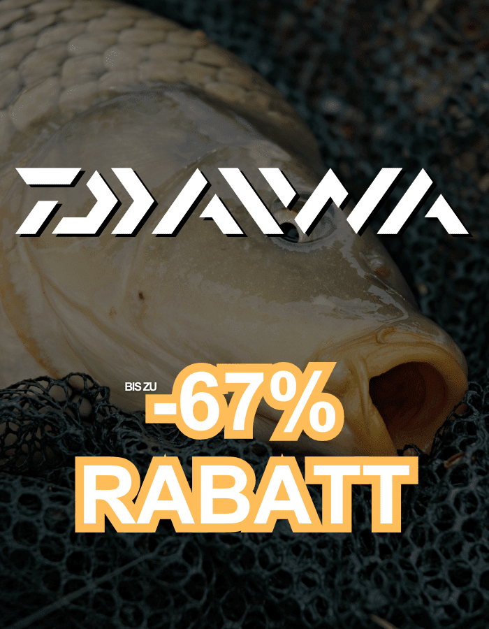 Tier, Karpfen, Fische, Leben im Meer